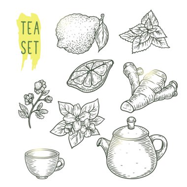 Çay öğeleri taslağını çaydanlık, Kupası, nane, papatya, Yasemin, dilim limon, zencefil ve bergamot içerir. Resimde gerçekçi simgeler ile iyi bir logo, afiş, el ilanı oluşturma veya Cafe menü için vektör.
