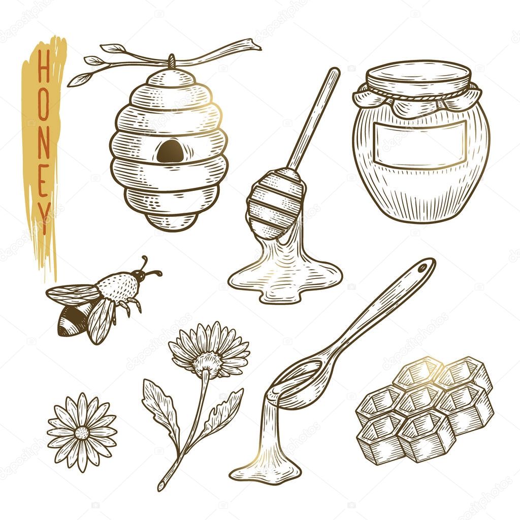 Set of honey elements. Vector sketch of sweet organic product isolated on background. Outline icons are use as label, logo, sticker, emblem for advertising organic products.