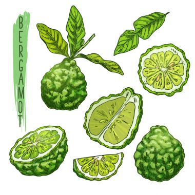 Meyve bergamot turuncu veya Güney Afrika'da bir kabile kireç