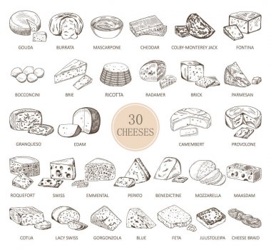 Set of isolated sketches of cheese types clipart