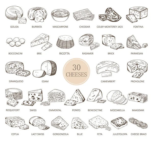 Ensemble de croquis isolés de types de fromages — Image vectorielle