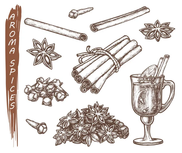 Set of isolated sketches for aroma spices — 스톡 벡터