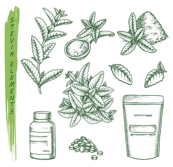 A stevia növény és tabletták vázlata, gombóc és csomagolás — Stock Vector