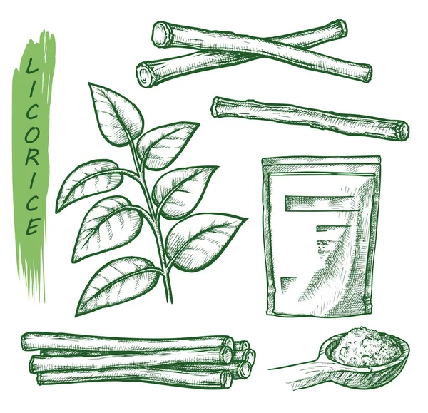 Licorice spice, liquorice root seasonings sketch — Stockvector