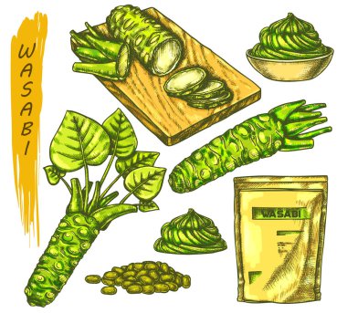 Vector color sketch for wasabi or japanese sashimi clipart