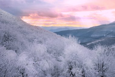 gün batımında Snowy orman