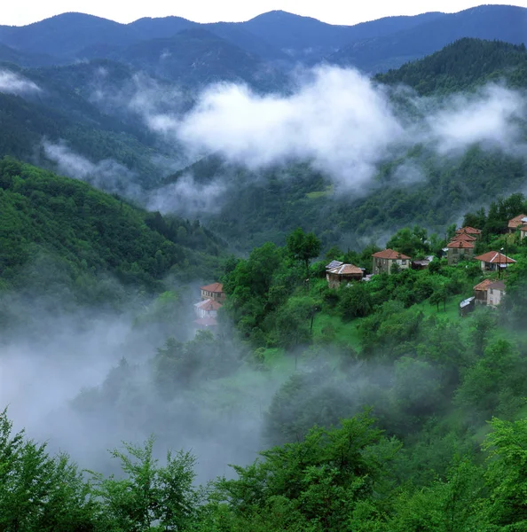 Foggy manhã de primavera — Fotografia de Stock