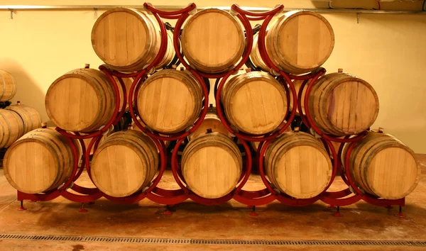 Piwnica win z wina barrels_2 — Zdjęcie stockowe