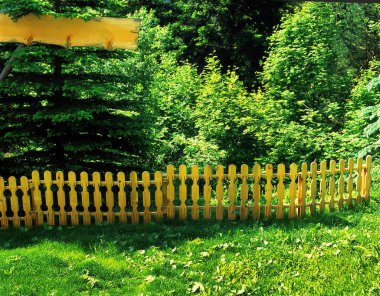 ormana dağlarda güzel çit