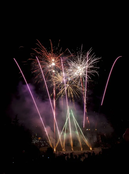 Bellissimi fuochi d'artificio illuminano il cielo _ 28 — Foto Stock