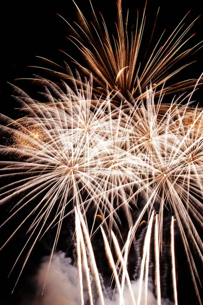 Gyönyörű tűzijátékok világítja meg a sky_39 Stock Kép