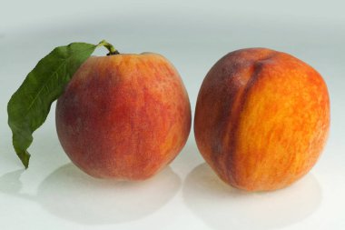 Taze peaches_1 bir seçim