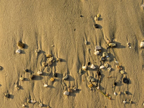 海岸沿いに美しい小石 — ストック写真