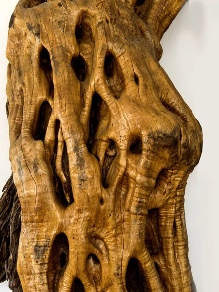 doku eski zeytin tree_4