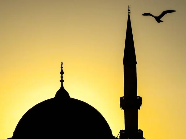 Sebuah burung camar di atas kubah dan minaret masjid saat matahari terbenam — Stok Foto