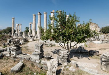Geyre, Aydın Aphrodisias antik kalıntıları