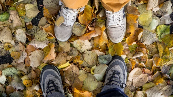 Duas pessoas pés com sapatos em folhas de outono — Fotografia de Stock