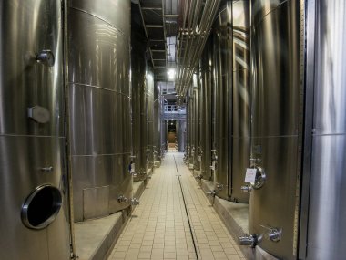 Fermantasyon için büyük tanklar ile modern şarap fabrikası