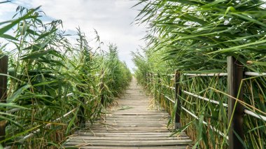 Peyzaj ve Sultanmarshes cennet erciyes Dağı, Kayseri yanındaki kuş
