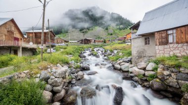 Köy Elevit Yaylası, Rize, Türkiye üzerinde