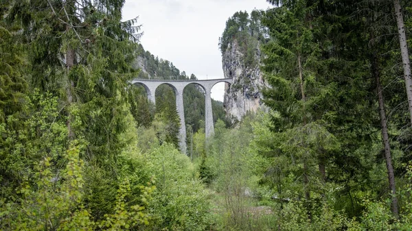 Железнодорожный мост Виадук Ландвассер, Швейцария — стоковое фото