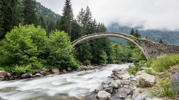 Ιστορική Οθωμανική γέφυρα Taskopru στην Senyuva, Rize, Τουρκία — Φωτογραφία Αρχείου