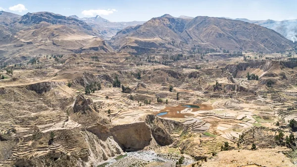Vista panorámica del Cañón del Colca, Perú, América del Sur con terrazas agrícolas — Foto de Stock