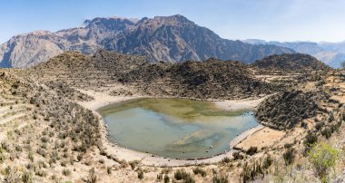 Panoramik teras tarım ile Colca Kanyon, Peru, Güney Amerika