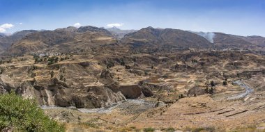 Panoramik teras tarım ile Colca Kanyon, Peru, Güney Amerika