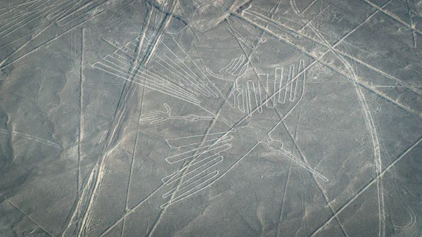 Cóndor como se ve en las líneas de Nasca, Nazca, Perú — Foto de Stock