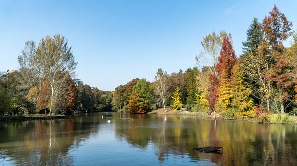 Parc botanique Ataturk Arboretum à l'automne, Istanbul — Photo