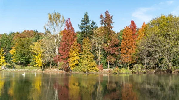 Parc botanique Ataturk Arboretum à l'automne, Istanbul — Photo