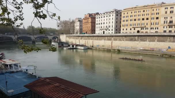 Roma Italia Marzo 2017 Atletas Remando Barco Río Tíber Roma — Vídeo de stock