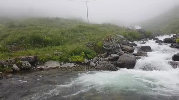 Norte Turquía Rice Ríos Con Cascadas Naturaleza País Vida Blacksea — Vídeos de Stock