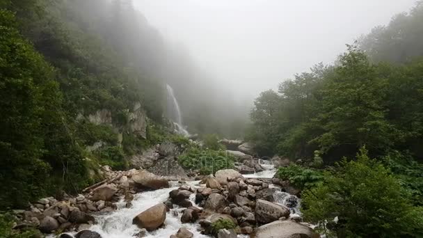 Norra Turkiet Rize Floder Med Vattenfall Natur Country Life Blacksea — Stockvideo