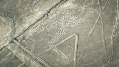 Nasca çizgileri, Nazca, Peru görüldüğü gibi örümcek figürü