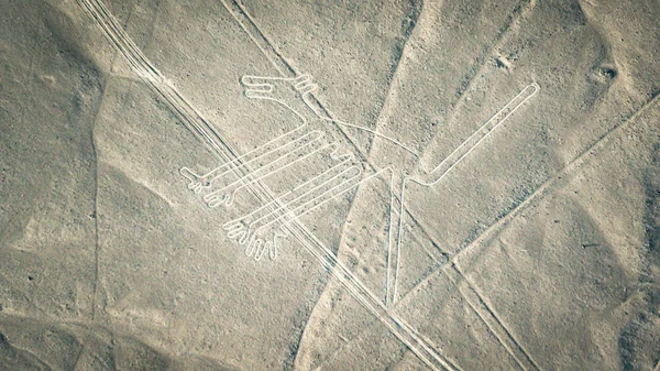 La figura del perro como se ve en las líneas de Nasca, Nazca, Perú — Foto de Stock