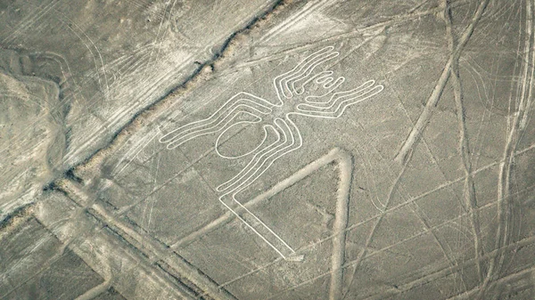 Figura araña como se ve en las líneas de Nasca, Nazca, Perú — Foto de Stock