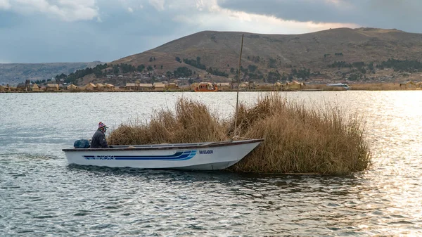 Člověk v lodi přepravující reed na jezeře Titicaca v Bolívii — Stock fotografie