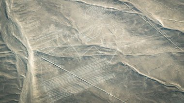 Nasca çizgileri, Nazca, Peru görüldüğü gibi maymun şekil
