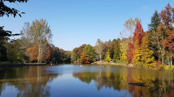 Ataturk Arboretum botanic park na podzim, Istanbul — Stock fotografie