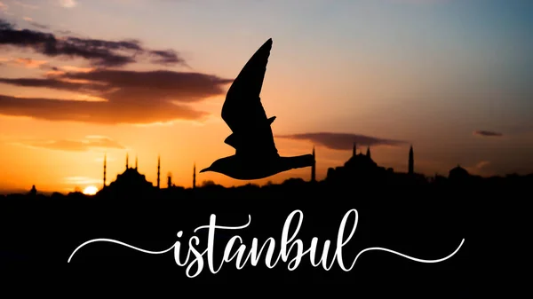 Puesta de sol sobre la silueta de Estambul y una paloma volando con Estambul escrita sobre la foto — Foto de Stock