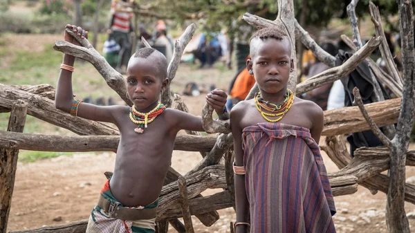 Onbekende kinderen uit de stam van Hamar in de Omo vallei van Ethiopië — Stockfoto