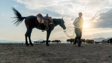 Bir alandaki bir atı vahşi atları ile tanımlanamayan adam