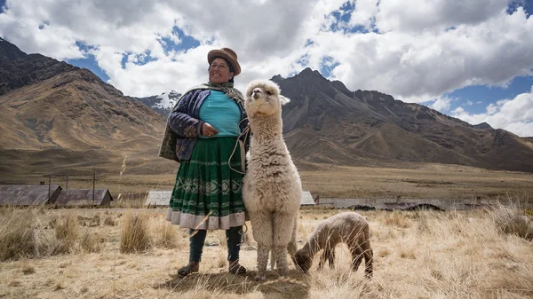 Mujer peruana con lama y alpaca . — Foto de Stock