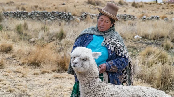Mujer peruana con lama y alpaca . —  Fotos de Stock