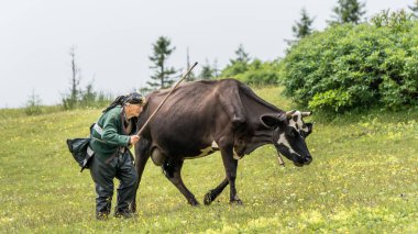 Belirsiz eski shephard kadın Karadeniz Karadeniz Bölgesi, Rize, Türkiye