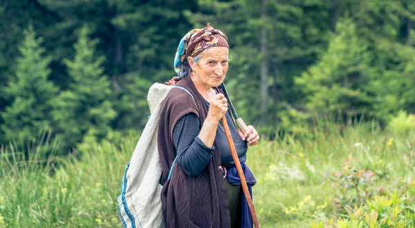 Uidentifisert gammel gjeterkvinne i Blacksea Karadeniz-regionen, Rize, Tyrkia – stockfoto