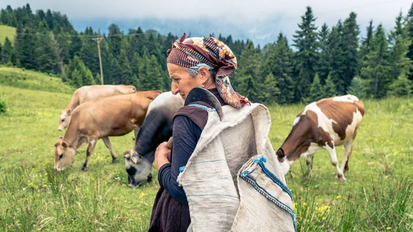 Azonosítatlan shephard öregasszony Karadeniz Fekete-tenger régió, Rize, Törökország — Stock Fotó