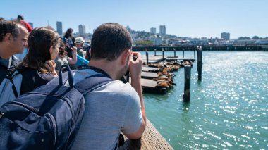 39. rıhtımdaki deniz aslanlarının fotoğraflarını çeken adam. Balıkçının iskelesi, San Francisco, California, Amerika Birleşik Devletleri.
